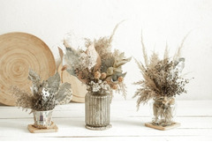 Dried Flowers for Decoration