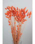 Autumn Wholesale Dried Flowers