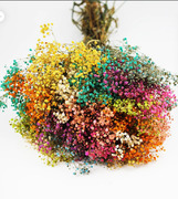 These Pastel Dried Flowers Are Selling Out Fast - Shop Baby's Breath Before It's Gone