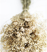 These Pastel Dried Flowers Are Selling Out Fast - Shop Baby's Breath Before It's Gone